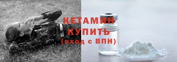 СК Новодвинск