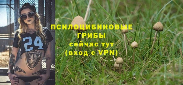 соль курить ск Нефтегорск