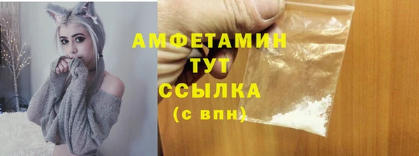 гашик Нея