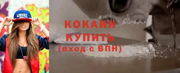 СК Новодвинск