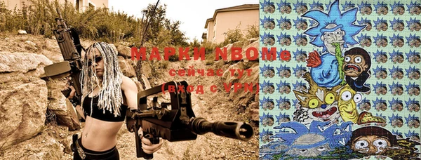 марки lsd Новозыбков